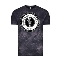 Cloud Black University Albany Suny Vintage Tee - linhVisuals