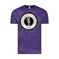 Cloud Purple University Albany Suny Vintage Tee - linhVisuals