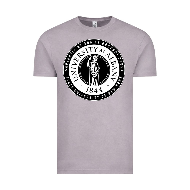 University Albany Suny Vintage Tee by linhVisuals | Teevron
