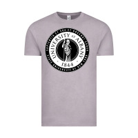 Vintage Zinc University Albany Suny Vintage Tee - linhVisuals