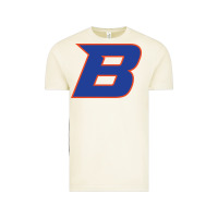 Vintage Arctic new-boise-state Vintage Tee - linhVisuals