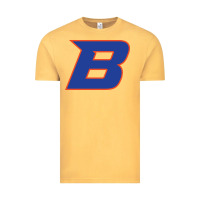 New-boise-state Vintage Tee | Teevron
