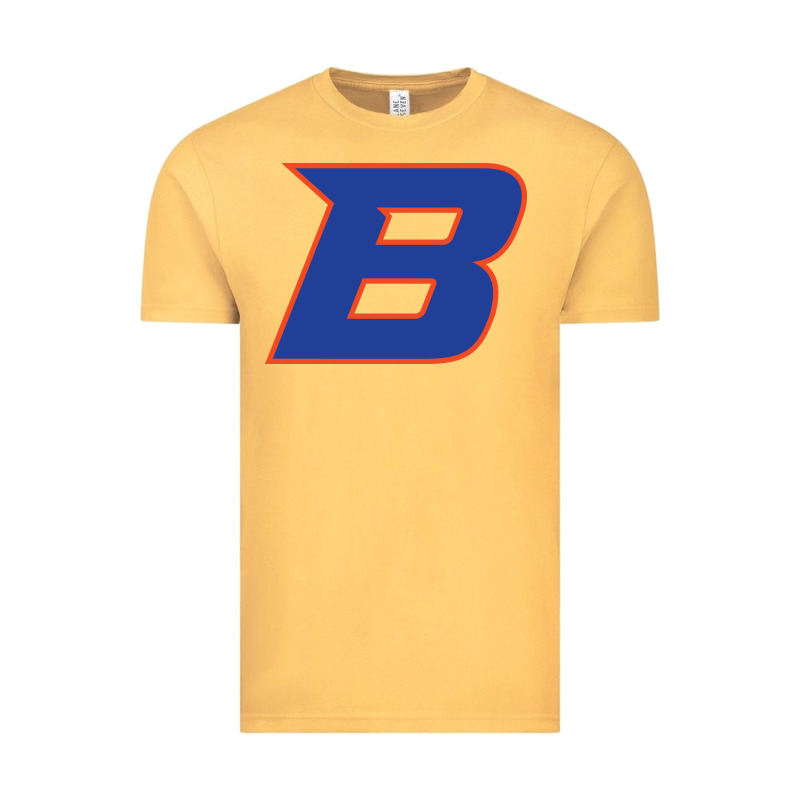 New-boise-state Vintage Tee by linhVisuals | Teevron