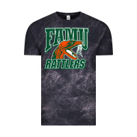 Cloud Black FAMU RATTLERS Vintage Tee - linhVisuals