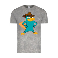 Cloud Rock phineas and ferb, agent p, perry the platypus Vintage Tee - linhVisuals