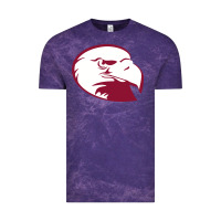Cloud Purple lock haven bald eagles Vintage Tee - linhVisuals