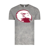 Cloud Rock lock haven bald eagles Vintage Tee - linhVisuals