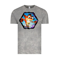 Cloud Rock CRASH BANDICOOT LEGENDS Vintage Tee - linhVisuals