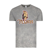 Cloud Rock acadie–titan-bathurst Vintage Tee - linhVisuals
