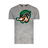 Cloud Rock down east wood ducks Vintage Tee - linhVisuals
