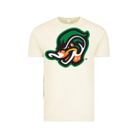 Vintage Arctic down east wood ducks Vintage Tee - linhVisuals