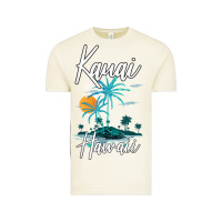 Vintage Arctic family vacation retro sunset hawaii kauai t shirt Vintage Tee - linhVisuals