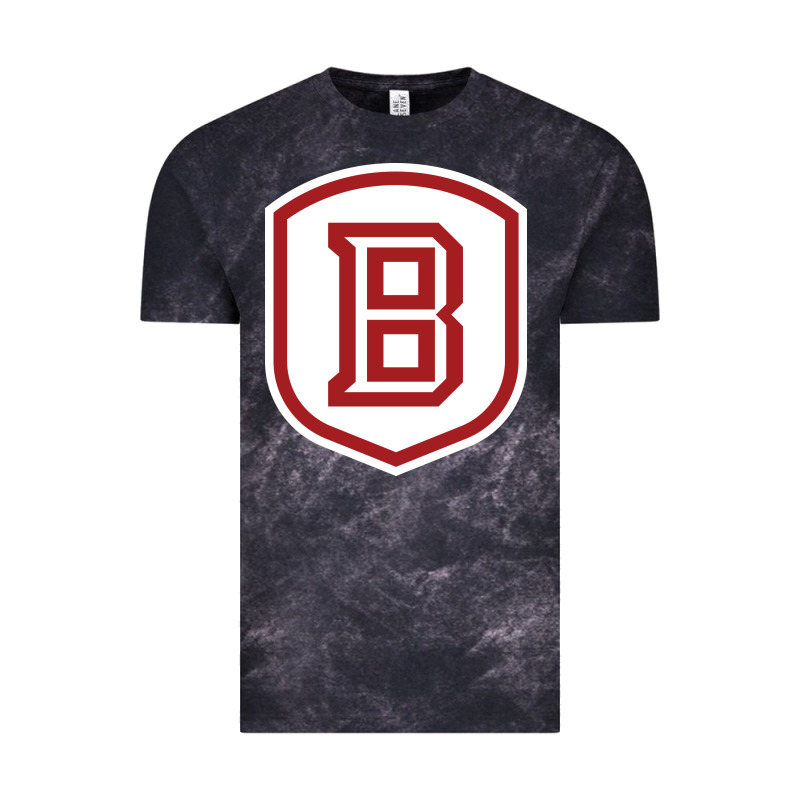 Bradley University Athletics Vintage Tee by linhVisuals | Teevron