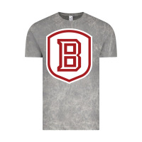 Cloud Rock Bradley University Athletics Vintage Tee - linhVisuals