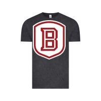 Vintage Black Bradley University Athletics Vintage Tee - linhVisuals
