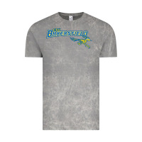 Cloud Rock cal state bakersfield roadrunners Vintage Tee - linhVisuals