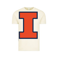Vintage Arctic Illinois fighting illini, University of Illinois, UIUC, Geari Vintage Tee - linhVisuals