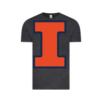 Vintage Black Illinois fighting illini, University of Illinois, UIUC, Geari Vintage Tee - linhVisuals