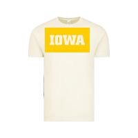 Vintage Arctic University of Iowa, UIowa, Iowa, apparel Vintage Tee - linhVisuals