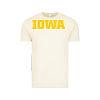 Vintage Arctic university of iowa, Apparel Vintage Tee - linhVisuals