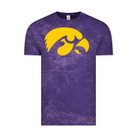University Of Iowa Athletics Teams Gear Vintage Tee | Teevron
