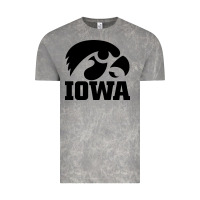 University Of Iowa Athletics Teams Gear Vintage Tee | Teevron