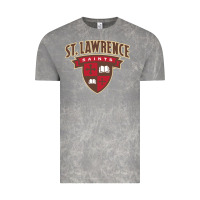 Cloud Rock st. lawrence university Vintage Tee - linhVisuals