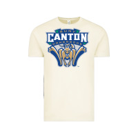 Vintage Arctic suny canton Vintage Tee - linhVisuals