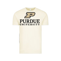 Vintage Arctic Purdue University, Apparel Vintage Tee - linhVisuals