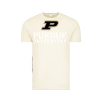 Vintage Arctic Purdue University, Apparel Vintage Tee - linhVisuals