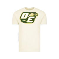 Vintage Arctic desoto high school, desoto Vintage Tee - linhVisuals