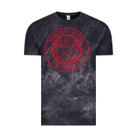 Cloud Black northeastern university Vintage Tee - linhVisuals