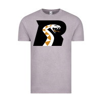 Vintage Zinc arizona rattlers Vintage Tee - linhVisuals