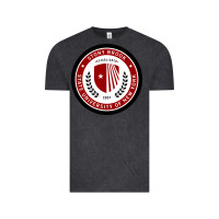 Vintage Black Stony Brook University Vintage Tee - linhVisuals