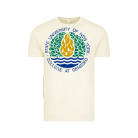Vintage Arctic Suny Geneseo Vintage Tee - linhVisuals