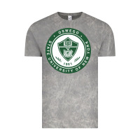 Cloud Rock Suny Oswego Vintage Tee - linhVisuals