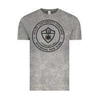 Cloud Rock Suny Potsdam Vintage Tee - linhVisuals