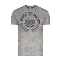 Cloud Rock Temple University Vintage Tee - linhVisuals