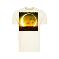 Vintage Arctic #breaking benjamin dark before dawn tour 2022 Vintage Tee - linhVisuals