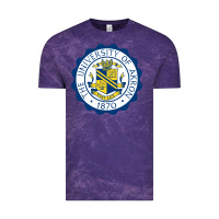 Cloud Purple University Of Akron Vintage Tee - linhVisuals
