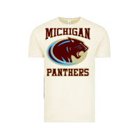 Vintage Arctic The Panthers Vintage Tee - linhVisuals