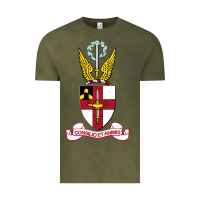 Vintage Olive Virginia Military Institute Vintage Tee - linhVisuals