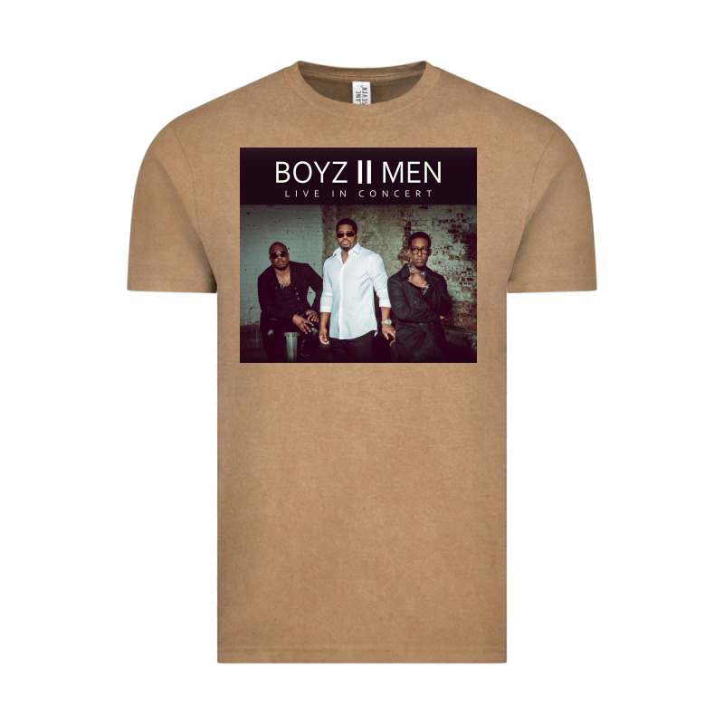 #boyz 2 Men Tour 2022 Vintage Tee by linhVisuals | Teevron