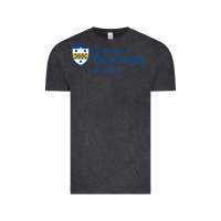 Vintage Black University Of Pittsburgh At Bradford New Vintage Tee - linhVisuals