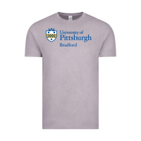 Vintage Zinc University Of Pittsburgh At Bradford New Vintage Tee - linhVisuals