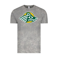 Cloud Rock Alaska Anchorage Seawolves Vintage Tee - linhVisuals