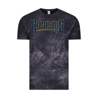 Cloud Black Canisius Athletics Wordmark Vintage Tee - linhVisuals