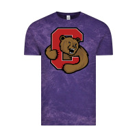 Cloud Purple Cornell Big Red Vintage Tee - linhVisuals