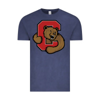 Vintage Denim Cornell Big Red Vintage Tee - linhVisuals