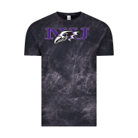 Cloud Black Niagara Purple Eagles Vintage Tee - linhVisuals